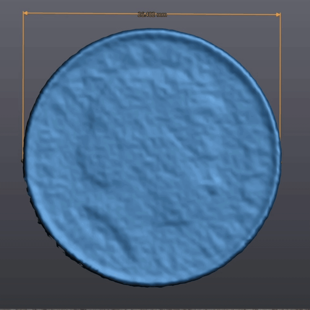 Comparison of Scanned and Real Coin (GIF)