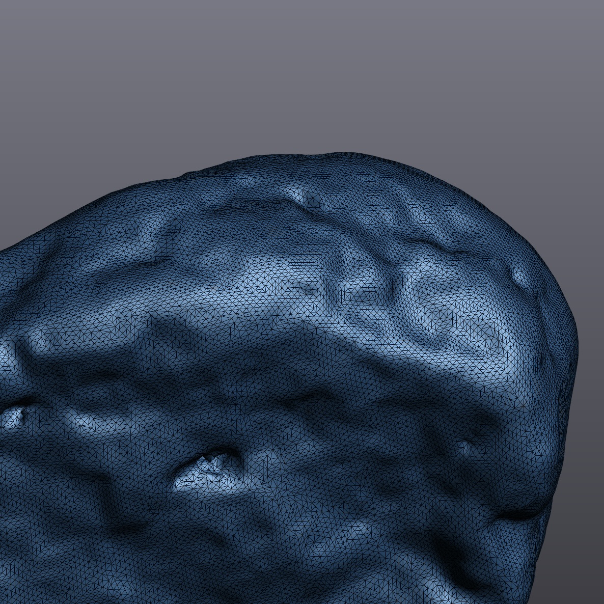 3D Scanned Stone with Visible Mesh