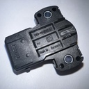 Pierberg Throttle Actuator TPS